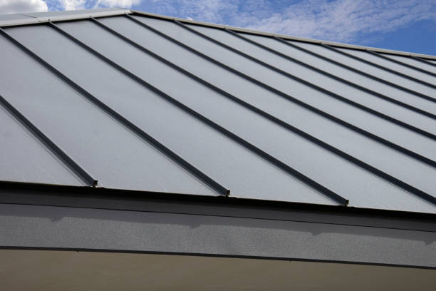 Best Roof Moss and Algae Removal  in Penn Estates, PA
